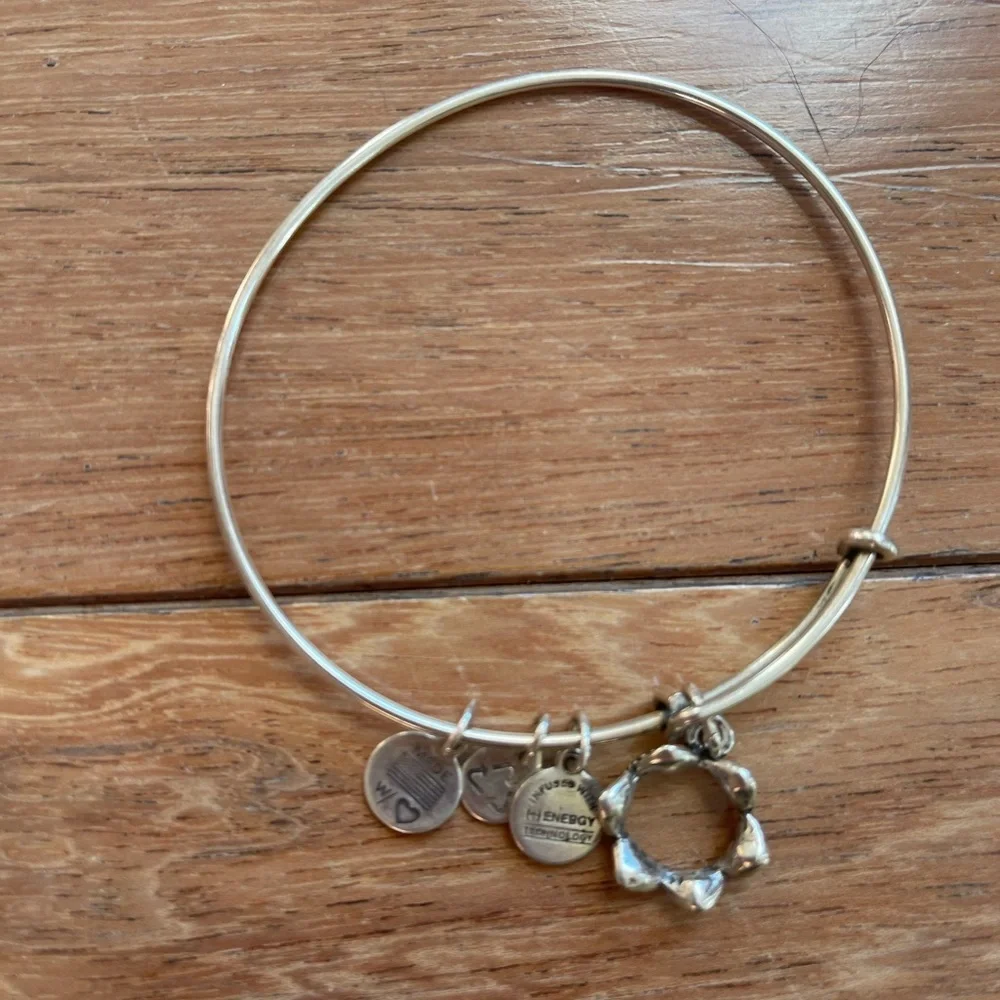 Alex and Ani Silver Crown Bangle Bracelet — Expandable Charm Bangle